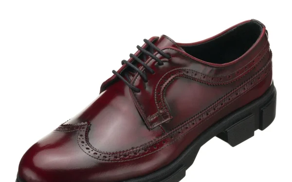 Büyük Numara Erkek Ayakkabısı – CK713 Bordo Acma